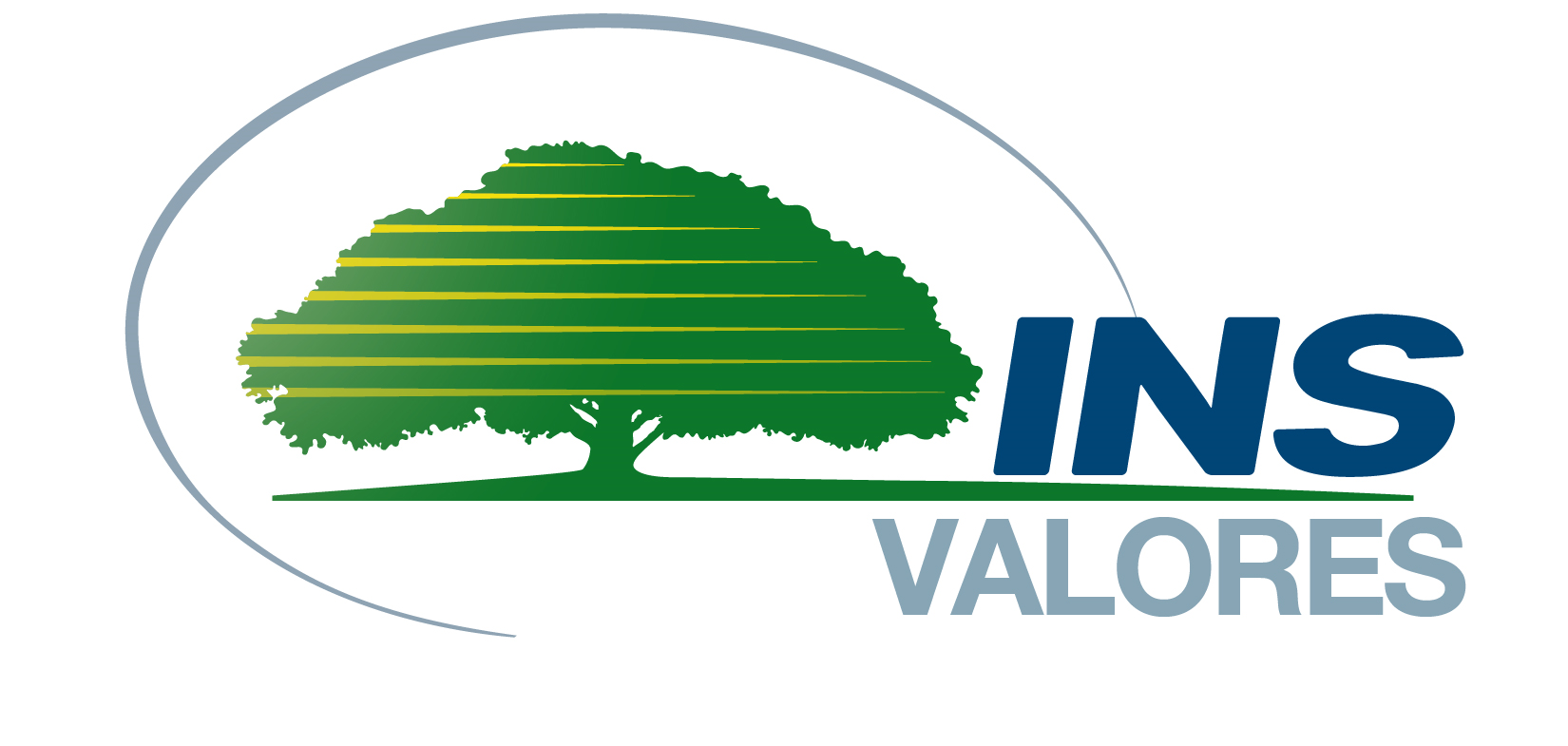 Logo INS Valores